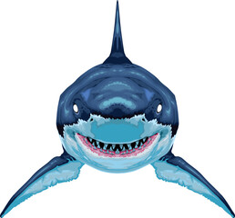 Shark, vector isolated animal.