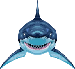 Poster Im Rahmen Shark, vector isolated animal. © ddraw