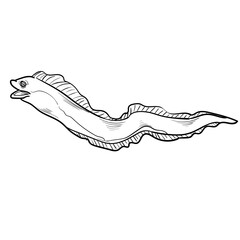 Hand Drawn Sea Creature Doodle Set