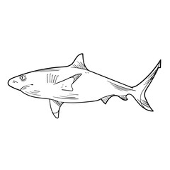 Hand Drawn Sea Creature Doodle Set