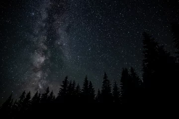 Poster Im Rahmen Milky Way Galaxy over the forest © sergeyxsp