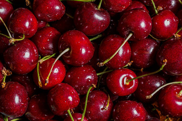 Cherry background.Close up of a bunch of bright red cherries shot from above. Cherry with drops. Food background.