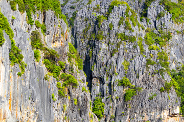 Beautiful tropical landscape of the Maya Bay in the Phi Phi Islands in Thailand