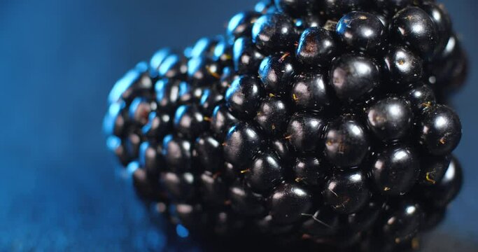 Extreme close up  of one fresh ripe blackberry rotating  on a black plate on a blue background.