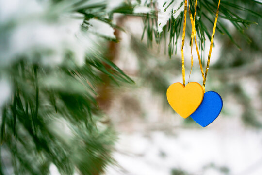 Yellow and blue hearts hanging on snowy pine tree branch