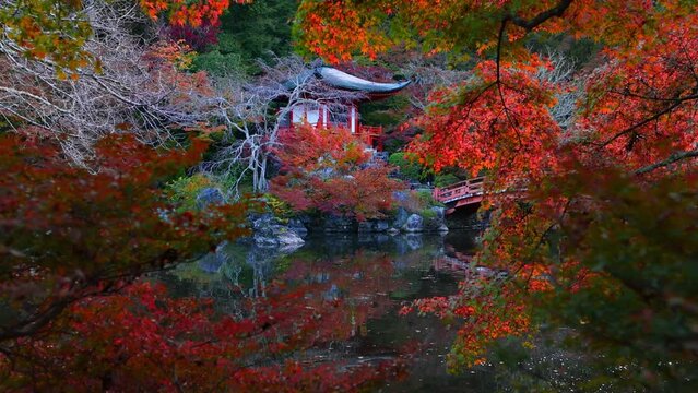 Beautiful autumn in Kyoto, Japan, Japanese shrine in Kyoto with red momiji leaves, traditional Japanese pagoda and wooden bridge reflected in a pond, Daigo-ji temple in Kyoto