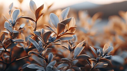 Golden Hour Sunlight Bathes Leaves in a Warm, Serene Glow of Tranquil Nature