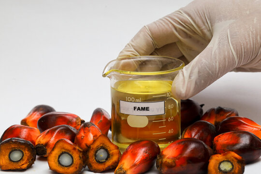 Fatty acid methyl esters. from vegetable oil through transesterification. raw materials for detergent and biodiesel.