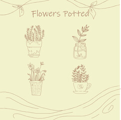 Flowers Diveder Pack Element