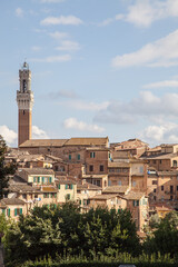 Fototapeta premium Beautiful view of the historic city of Siena. Tuscany, Italy.