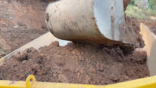 Mini Digger loading soil into a tipper.