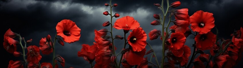 Obraz premium The striking silhouette of black hollyhocks against a stormy sky, their dark blooms a rare and gothic beauty.