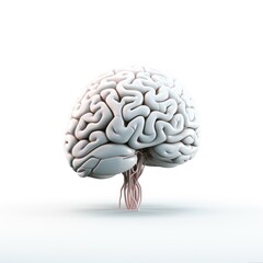 Human brain on white background. Brainstorming concept