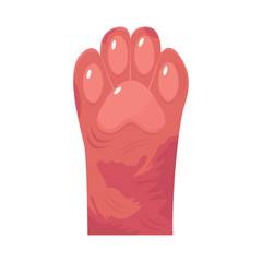 cat paw illustration