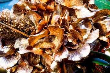 a structure for decoration purposes with various ingredients suitable for, for example, Christmas or other celebrations