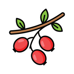 Beautiful and amazing icon of hawthorn in trendy style