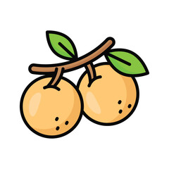 An amazing icon of longan in modern style, ready to use icon