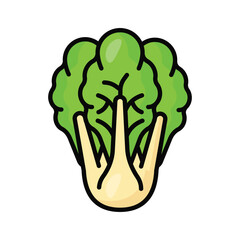 Catch a sight of this visually perfect icon of cabbage in trendy style. Cabbage vector