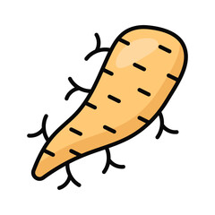 Natural thickening and flavor enhancement for your gourmet designs. arrowroot icon, healthy and organic food