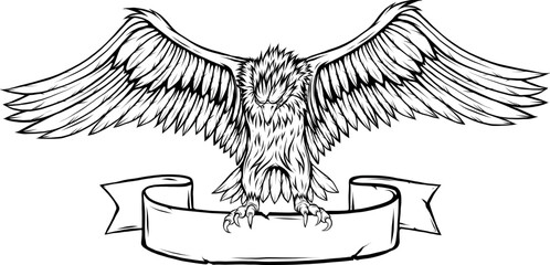 Vector Cartoon Bald Eagle With Spreaded Wings Line Art