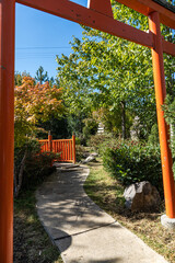Japanese garden in fall time period