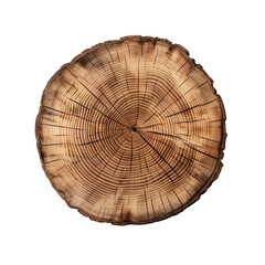 A cut out of a tree stump top view isolated on transparent background - obrazy, fototapety, plakaty