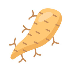 Natural thickening and flavor enhancement for your gourmet designs. arrowroot icon, healthy and organic food