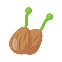 Beautifully designed icon of capers, vegetarian food