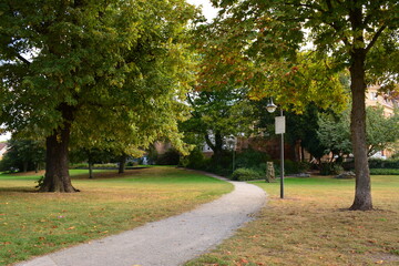 Der Weg im Park