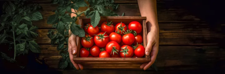 Foto op Canvas Male hands holding tomatoes in wooden box over the wooden table © Natalie Meerson