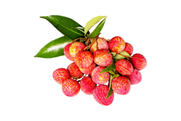 pile or bunch of Juicy Lychee with green leaves isolated on cut out PNG. Has red shell. Fruit that has delicious, sweet aroma. Peel has antioxidant properties. Can be processed into canned fruit.