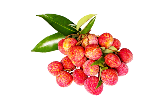 pile or bunch of Juicy Lychee with green leaves isolated on cut out PNG. Has red shell. Fruit that has delicious, sweet aroma. Peel has antioxidant properties. Can be processed into canned fruit.