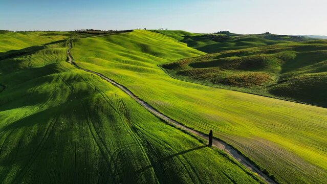 Aerial view of a path winding between the green fields and meadows. Beautiful tranquil spring rural scene of landscape made by rolling hills typical for Tuscany, Italy.