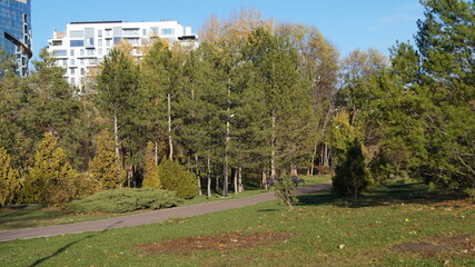 SCENIC SCENERY, magical view, beauty, bliss, love and romance