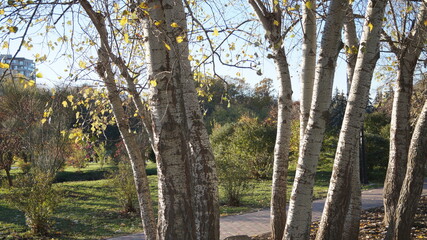 SCENIC SCENERY, magical view, beauty, bliss, love and romance