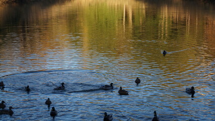 SCENIC SCENERY, magical view, beauty, bliss, love and romance