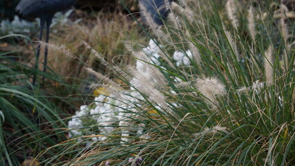 SCENIC SCENERY, magical view, beauty, bliss, love and romance