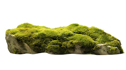 Green Moss Meadow on a rock. Side view. Isolated on Transparent background.	