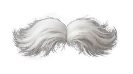 White moustache. Isolated on Transparent background.	