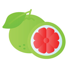 Well designed icon of grapefruit in modern style, healthiest citrus fruit