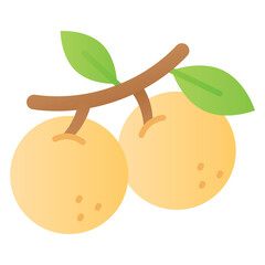 An amazing icon of longan in modern style, ready to use icon