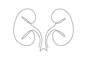 Human kidneys single line drawing. Continuous one line drawing kidneys. Isolated on white background vector illustration. Pro vector.