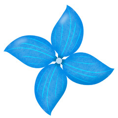 blue flower isolated on white