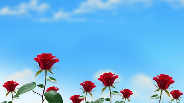 flowers Waving in Breeze
ideal for text and title screen animation