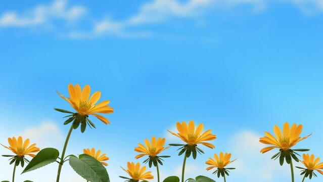 flowers Waving in Breeze
ideal for text and title screen animation