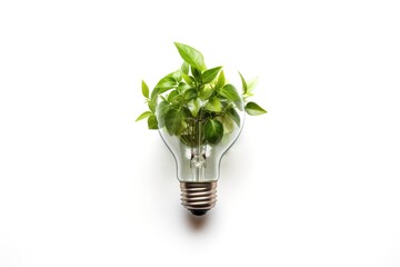 Eco friendly light bulb with fresh green leaves on white background.