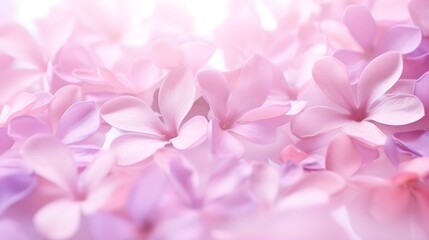 Obraz premium Abstract pastel light pink lilac flowers close up. Summer minimal floral background.