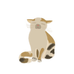 A sleeping while standing calico cat on a white background (hand drawn)