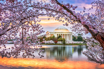 Washington DC in Spring Season - obrazy, fototapety, plakaty