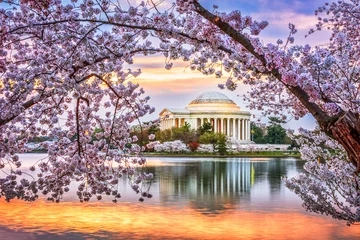 Deurstickers Washington DC in Spring Season © SeanPavonePhoto